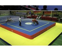 سکو ساندو . سکو ساندو ووشو